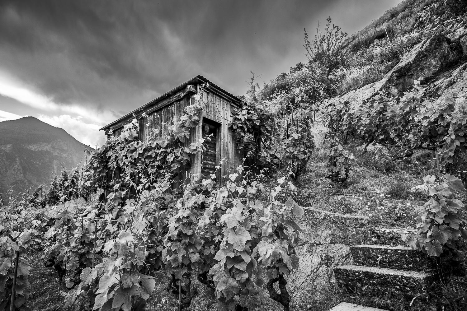 Les Follatères (Fully)