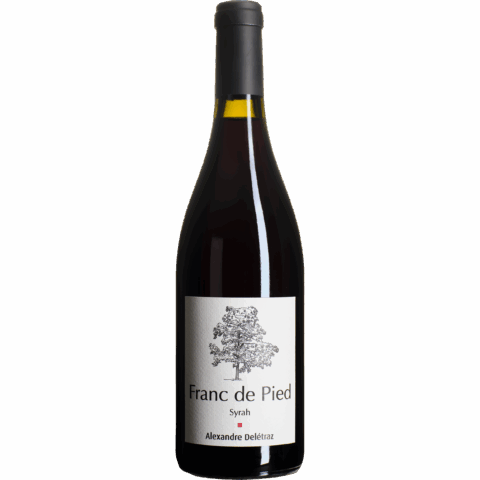 Syrah Franc de Pied  2023