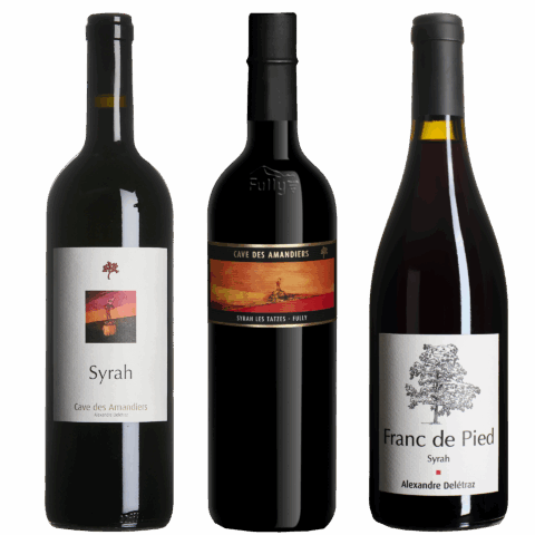 Coffret "Trois Syrahs"