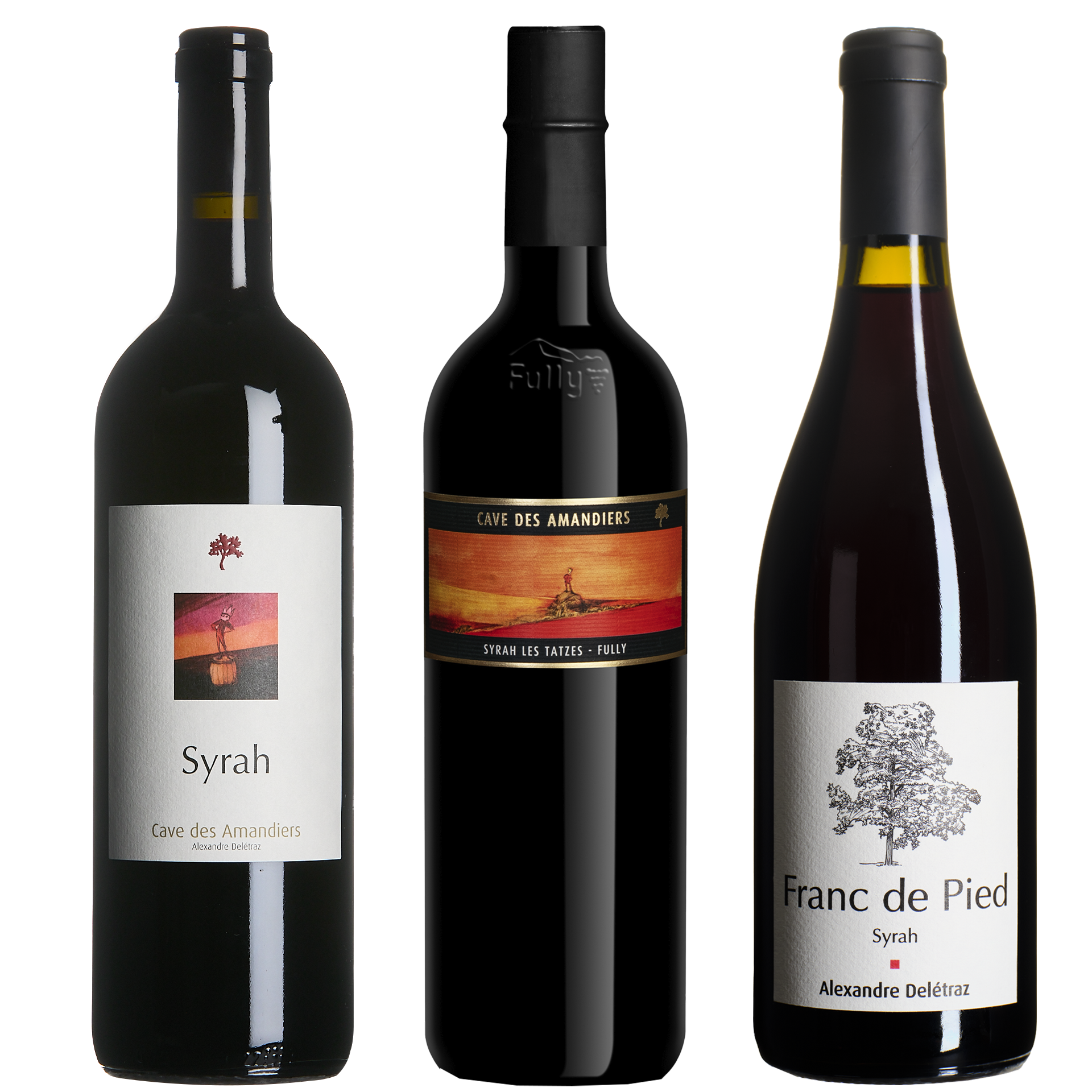 Coffret "Trois Syrahs"